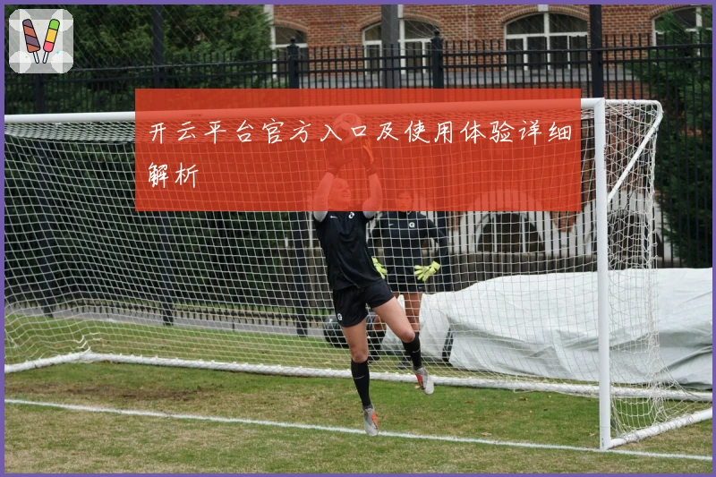 开云平台官方入口及使用体验详细解析