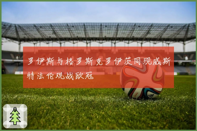 罗伊斯与格罗斯克罗伊茨同现威斯特法伦观战欧冠