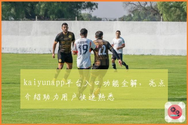 kaiyunapp平台入口功能全解，亮点介绍助力用户快速熟悉