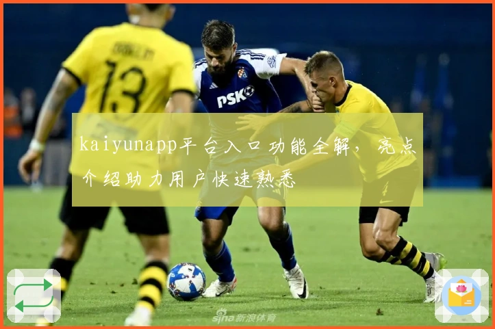 kaiyunapp平台入口功能全解，亮点介绍助力用户快速熟悉