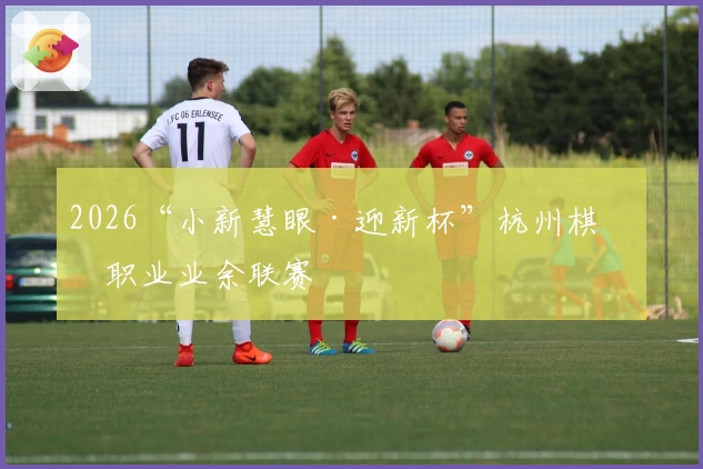 2026“小新慧眼·迎新杯”杭州棋坛职业业余联赛