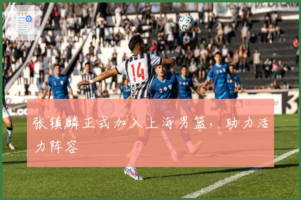 张镇麟正式加入上海男篮，助力活力阵容